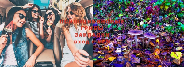 бошки Алексеевка
