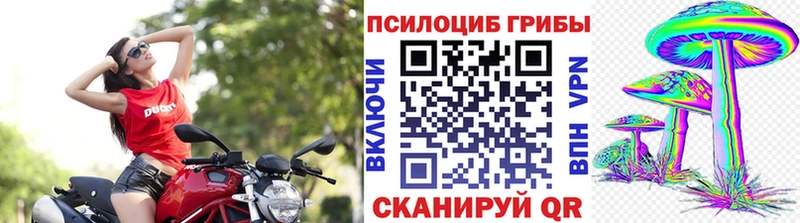 Галлюциногенные грибы Psilocybe  цена наркотик  Шадринск 