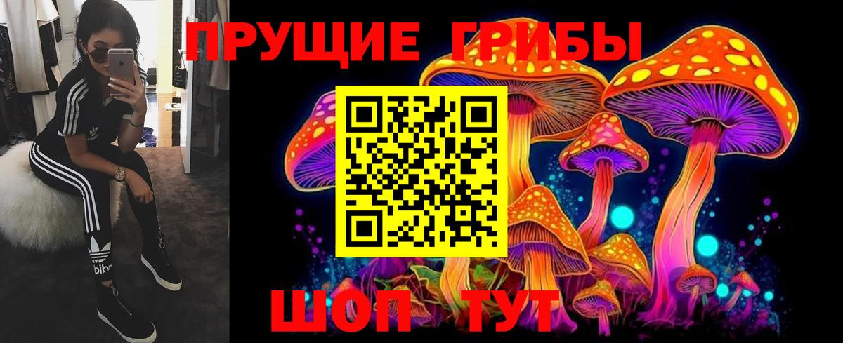 Псилоцибиновые грибы мицелий  Псилоцибиновые грибы MAGIC MUSHROOMS  где купить наркоту  Шадринск  Вход с VPN 