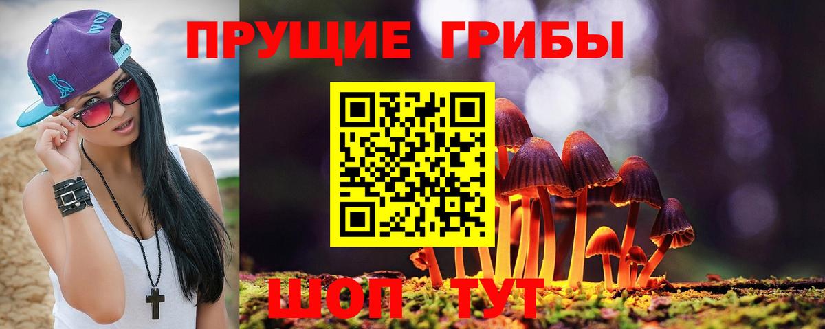 Псилоцибиновые грибы прущие грибы Шадринск